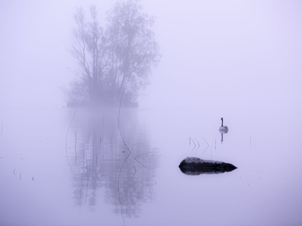 Photograph by Liudmila Drake