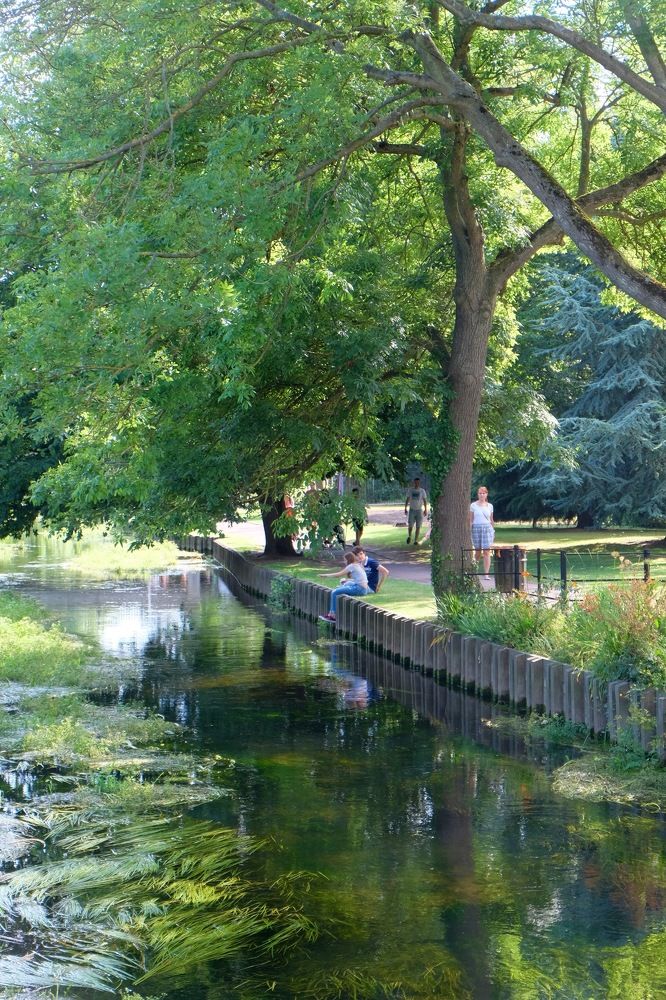 The River Stour, Canterbury