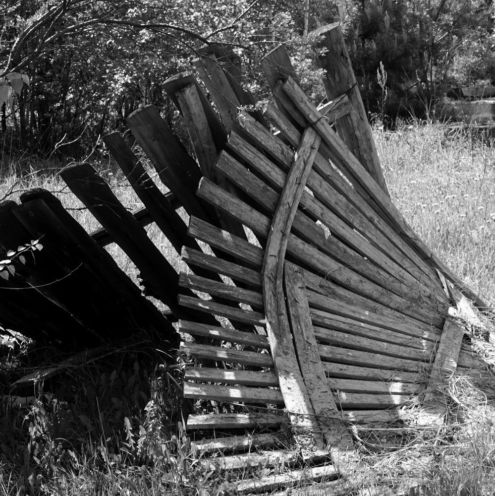 Photograph by Ольга Паньшина