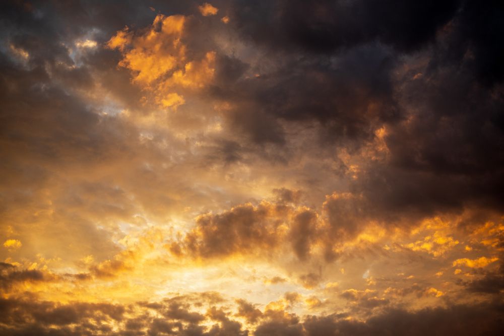 Photograph by Анна Чеснокова