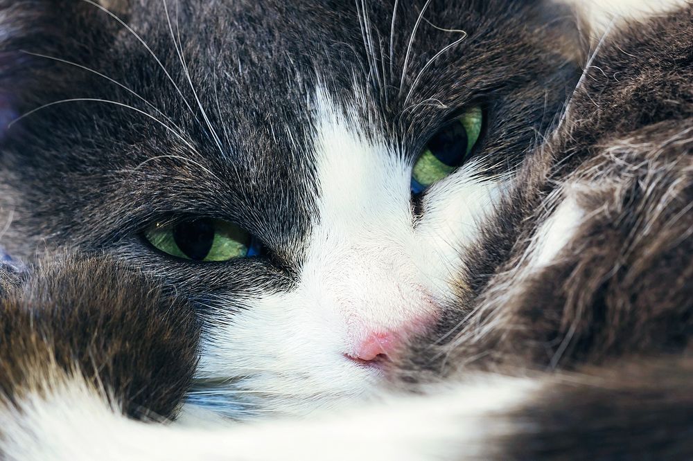 Photograph by Ines Cvitić