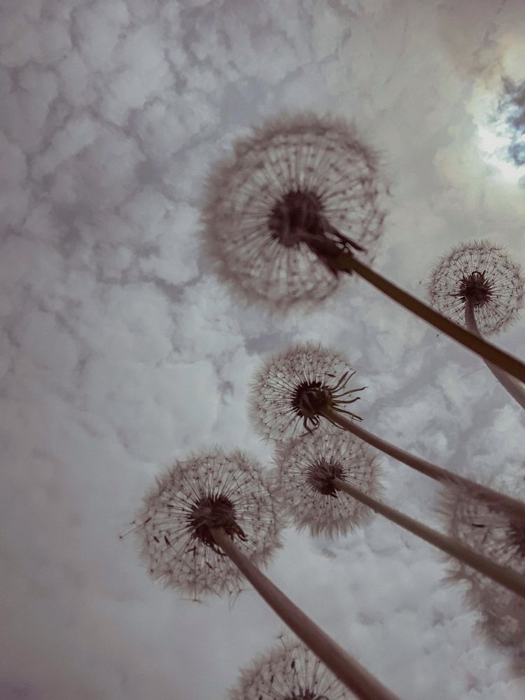 Photograph by Инесса Ким