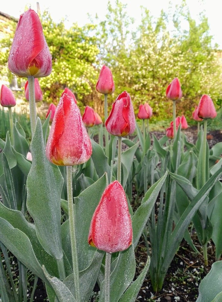 Photograph by Сергей Морозов