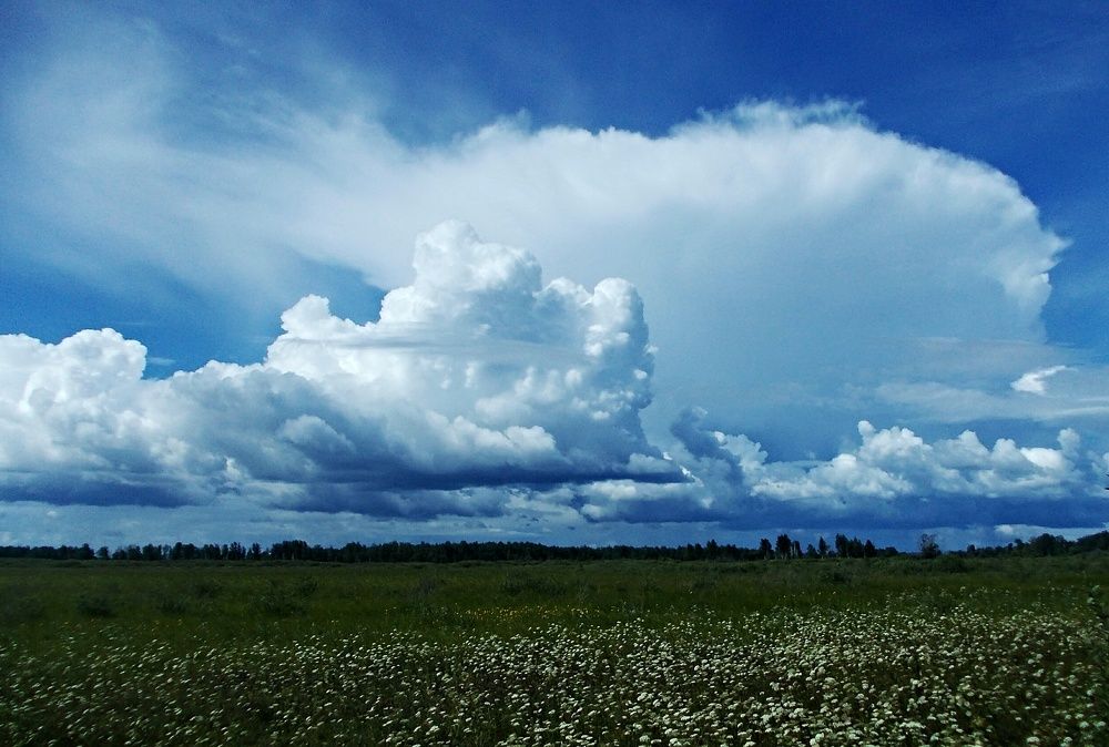 Photograph by Сергей Морозов