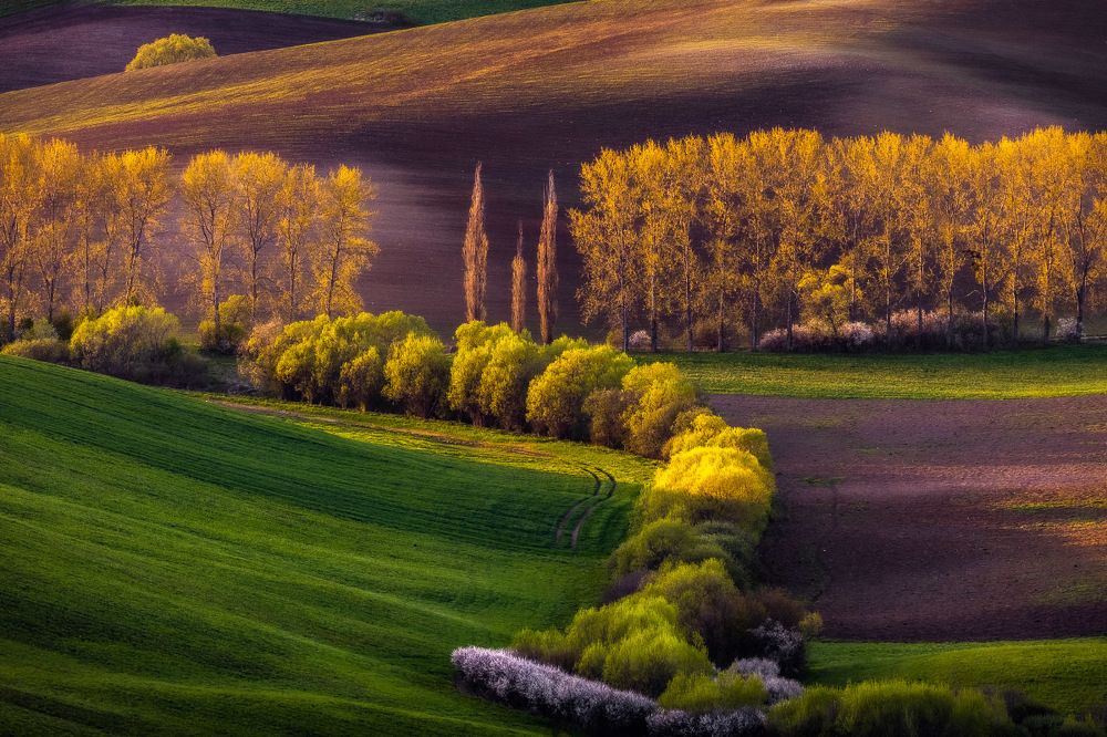 Spring landscape palette