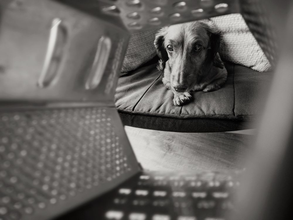 Photograph by Светлана Никотина