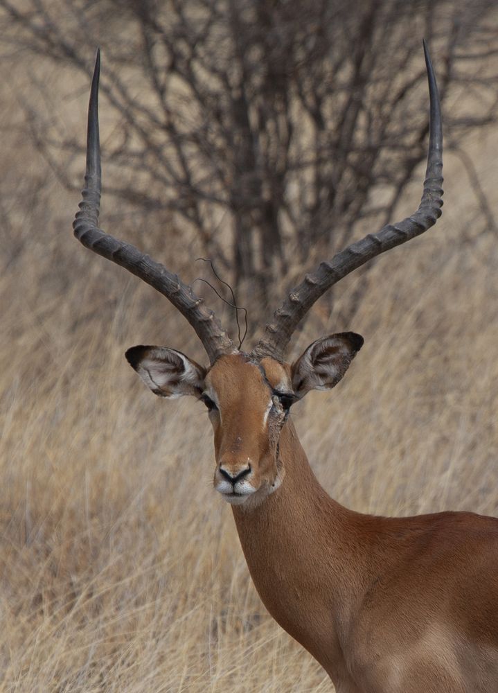 Фотография автора Anne-Marie Vermaat