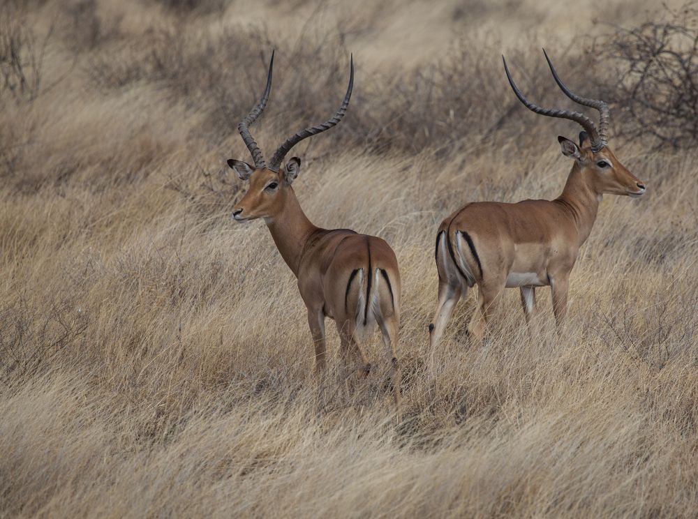 Фотография автора Anne-Marie Vermaat