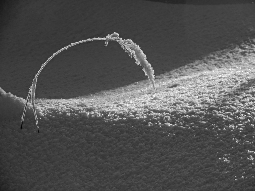 Одиночество