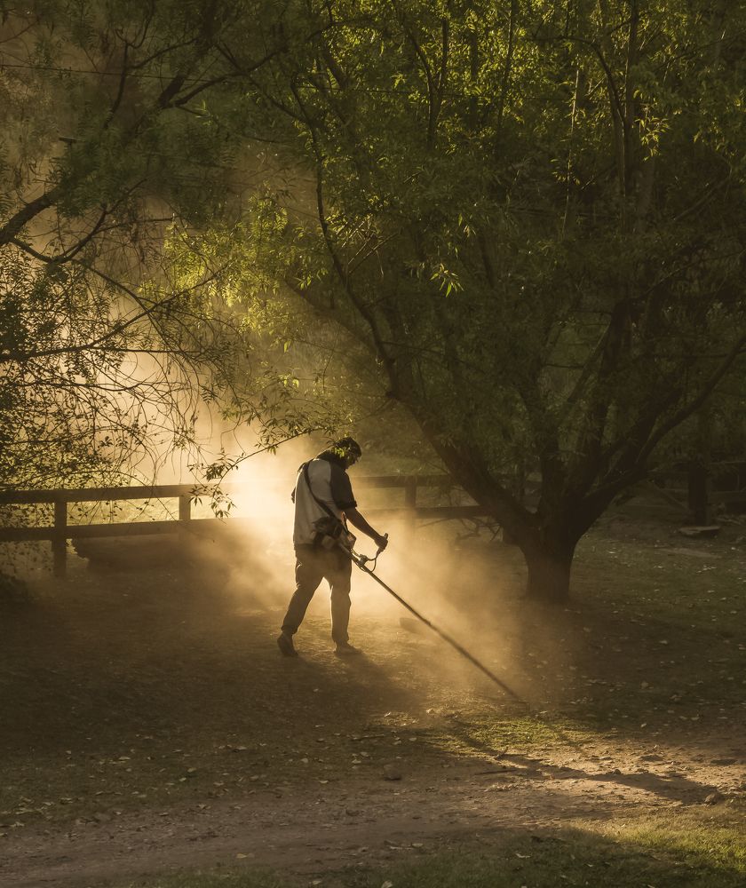 Фотография автора LORNA AGUIRRE