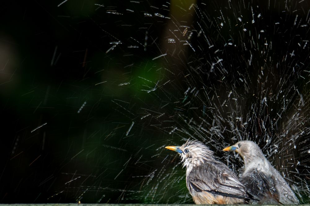 Photograph by Nabarun Majumdar
