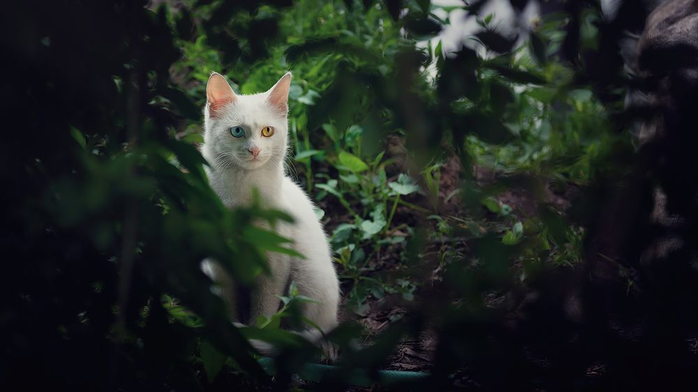 Photograph by Gennadii Zakirov