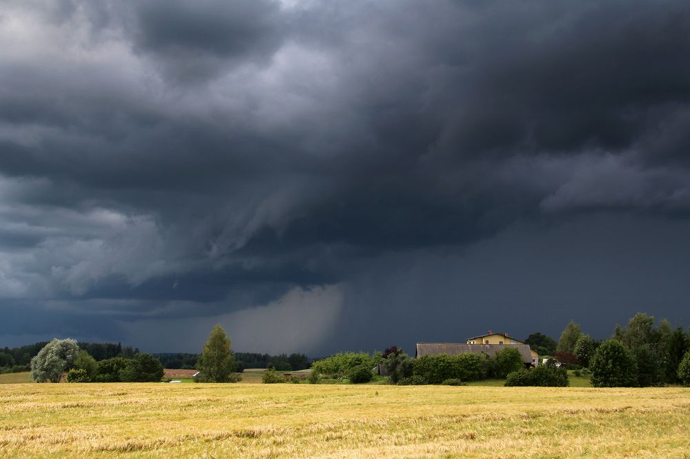 Photograph by Guntars