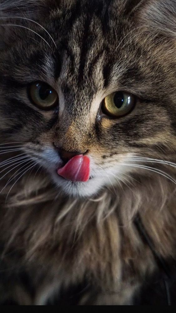 Photograph by Оюна Прокопьева