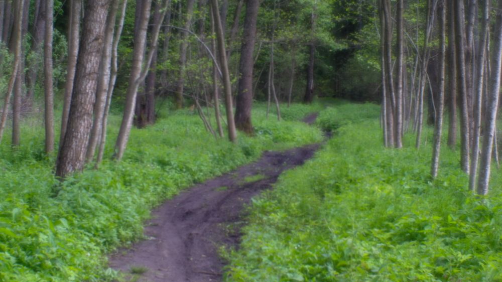 Photograph by Владимир Почтарев