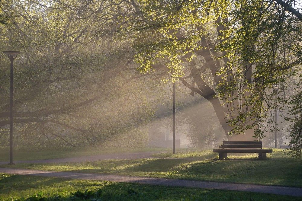 Photograph by Наталья Катюжанская