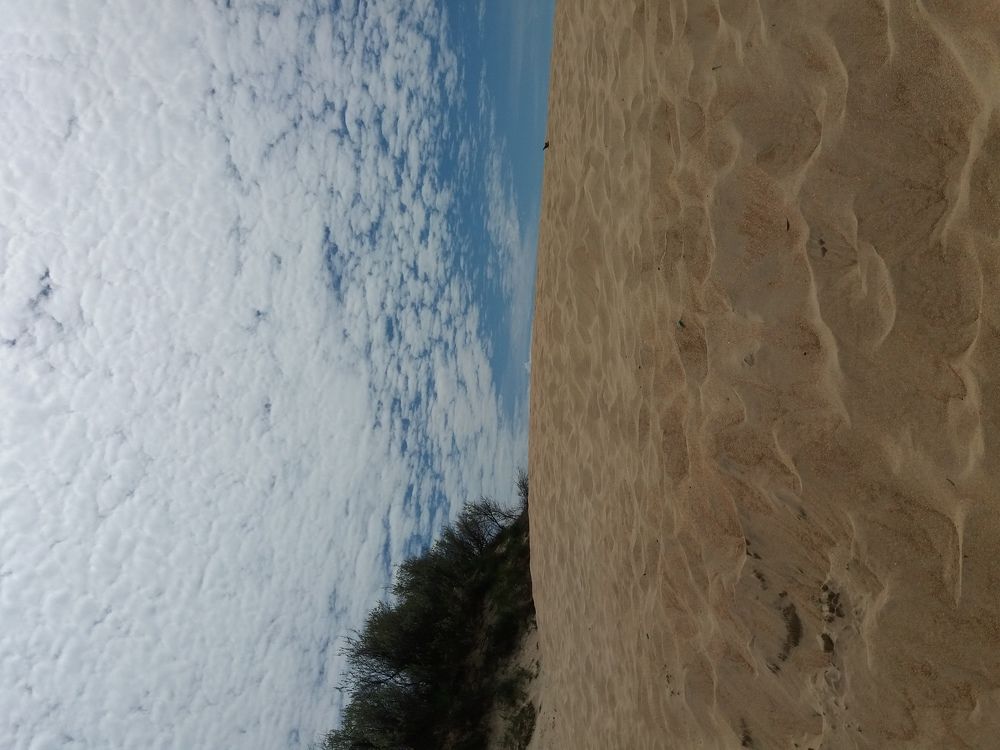 Photograph by оксана