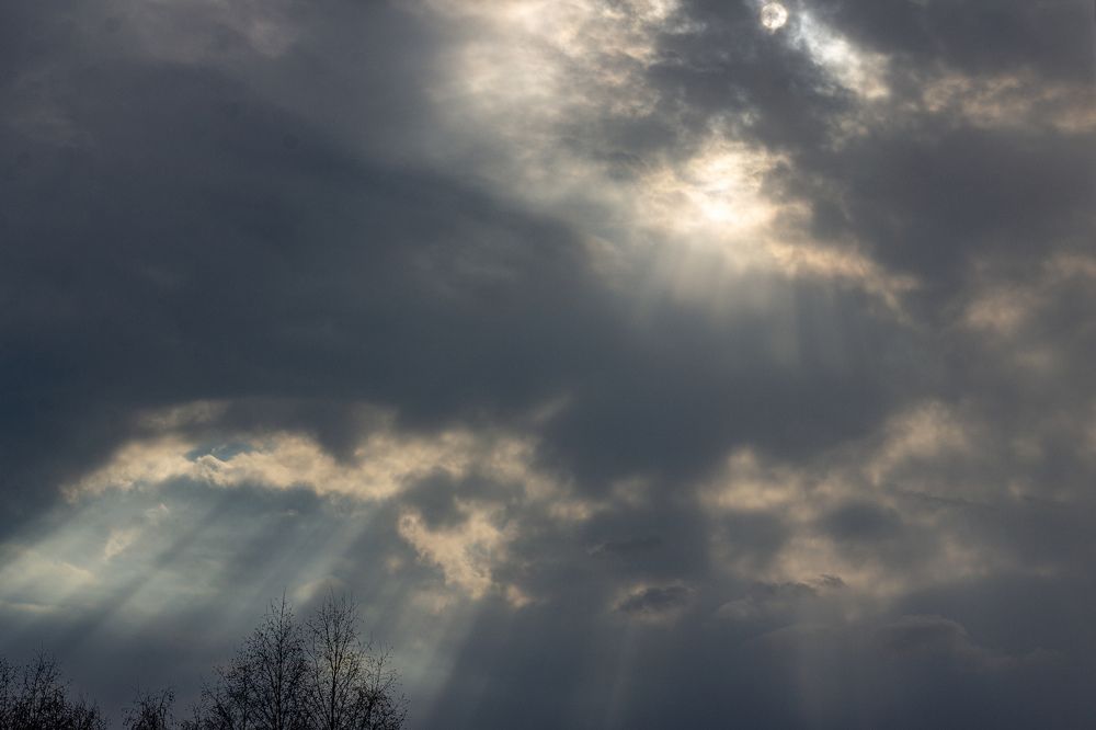 Photograph by Елена Хорохорина