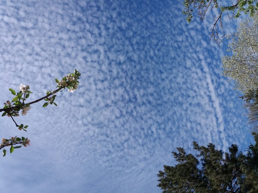 Photograph by оксана