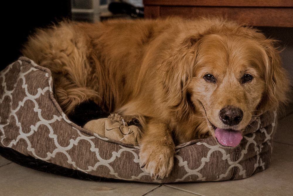 Photograph by Estuardo Estrada Alday