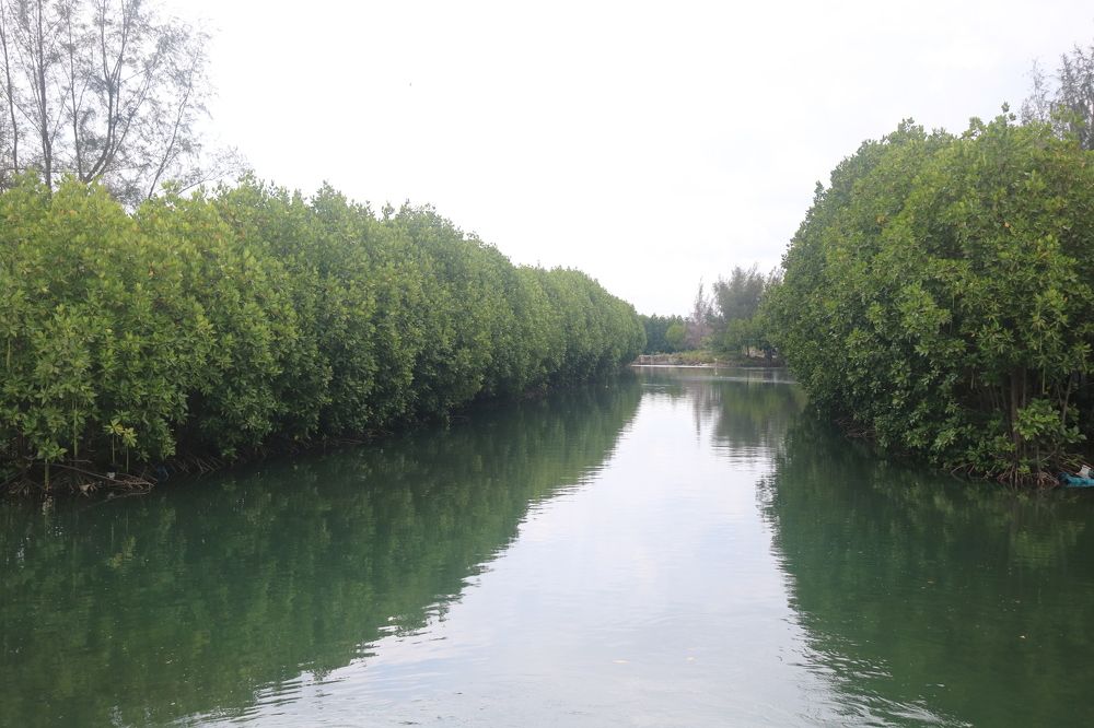 Photograph by Deasy Junita Dhani Hidayana