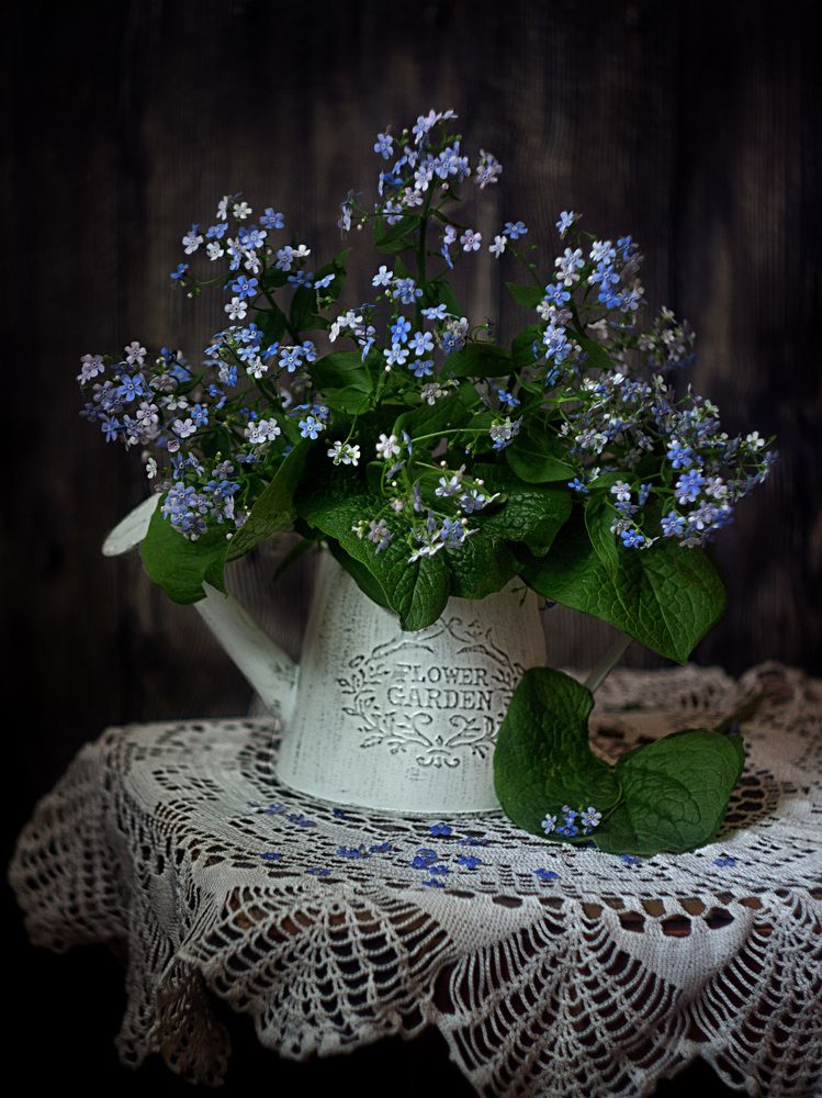 Photograph by Александра Коновалова