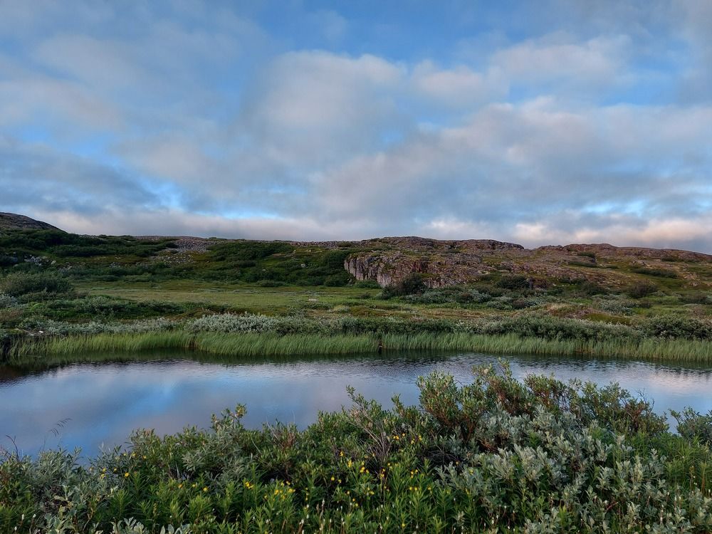 Photograph by Мария Федоткина