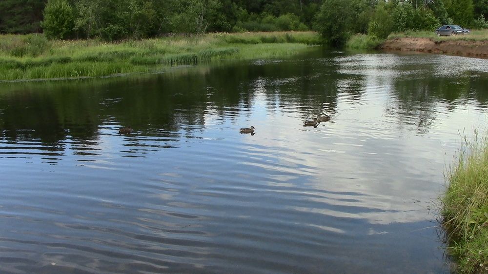 Photograph by Ирина Степановна Азаренкова