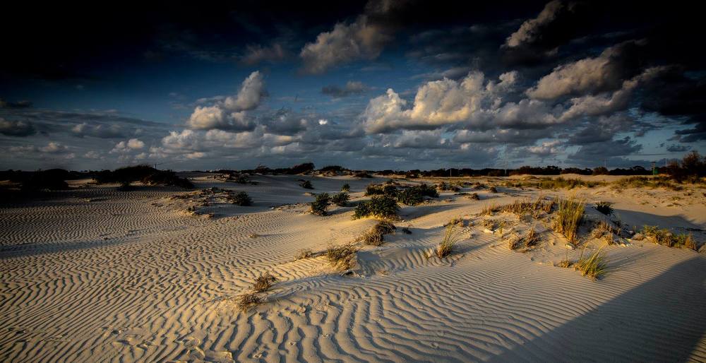 Photograph by Leonid Lan