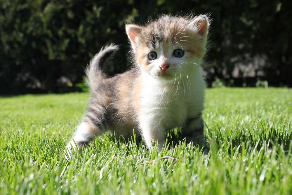 Photograph by Алексей Ролин