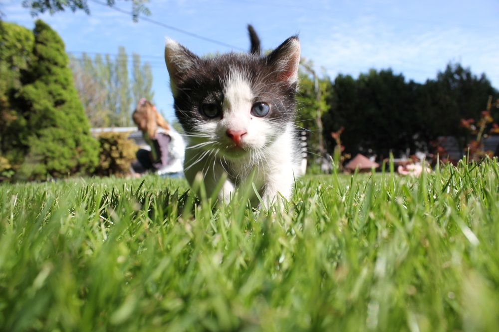 Photograph by Алексей Ролин