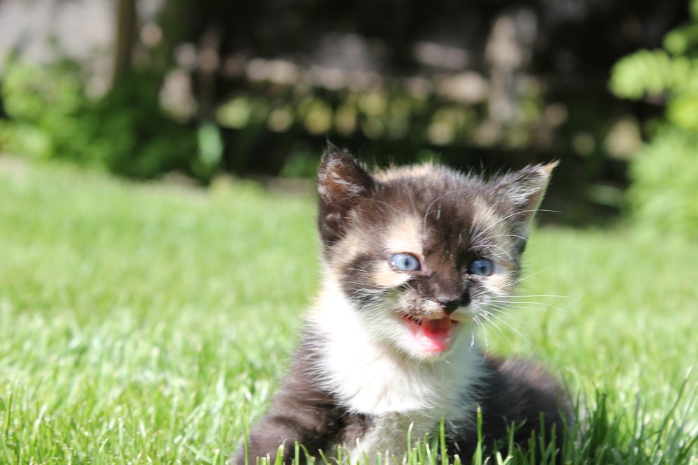 Photograph by Алексей Ролин