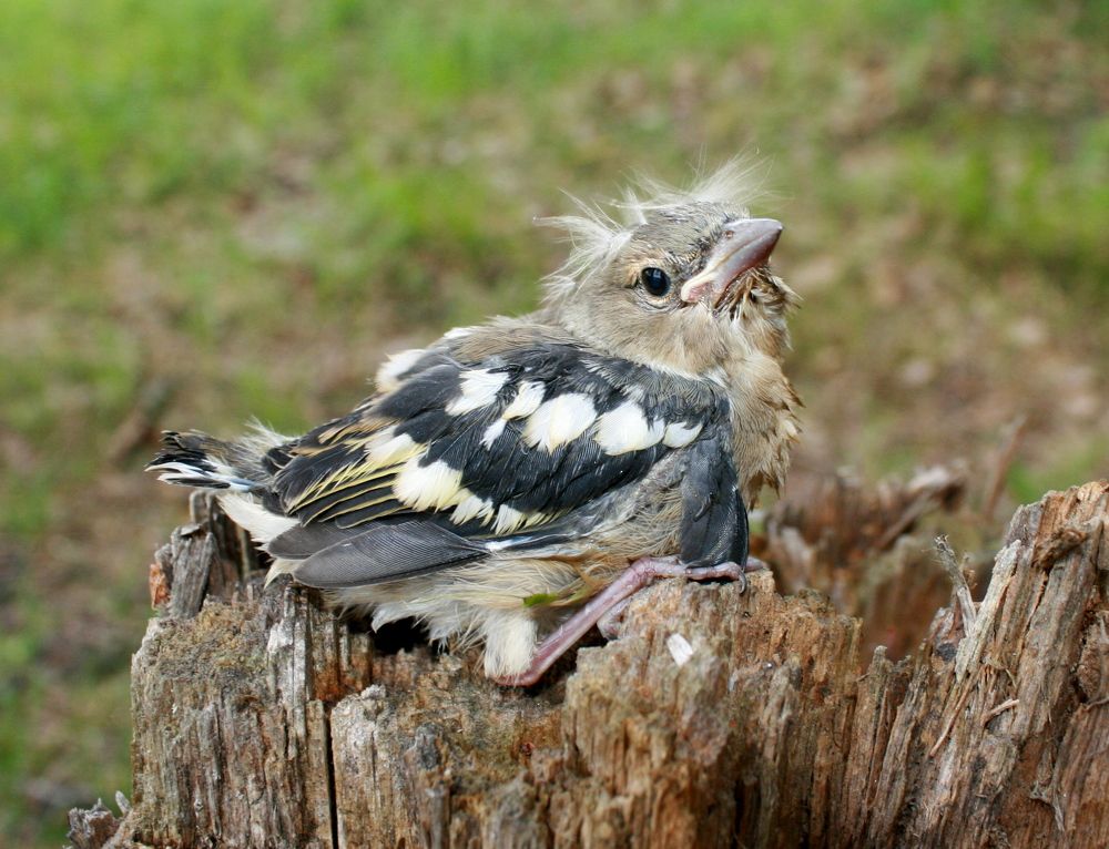 Photograph by Кунц