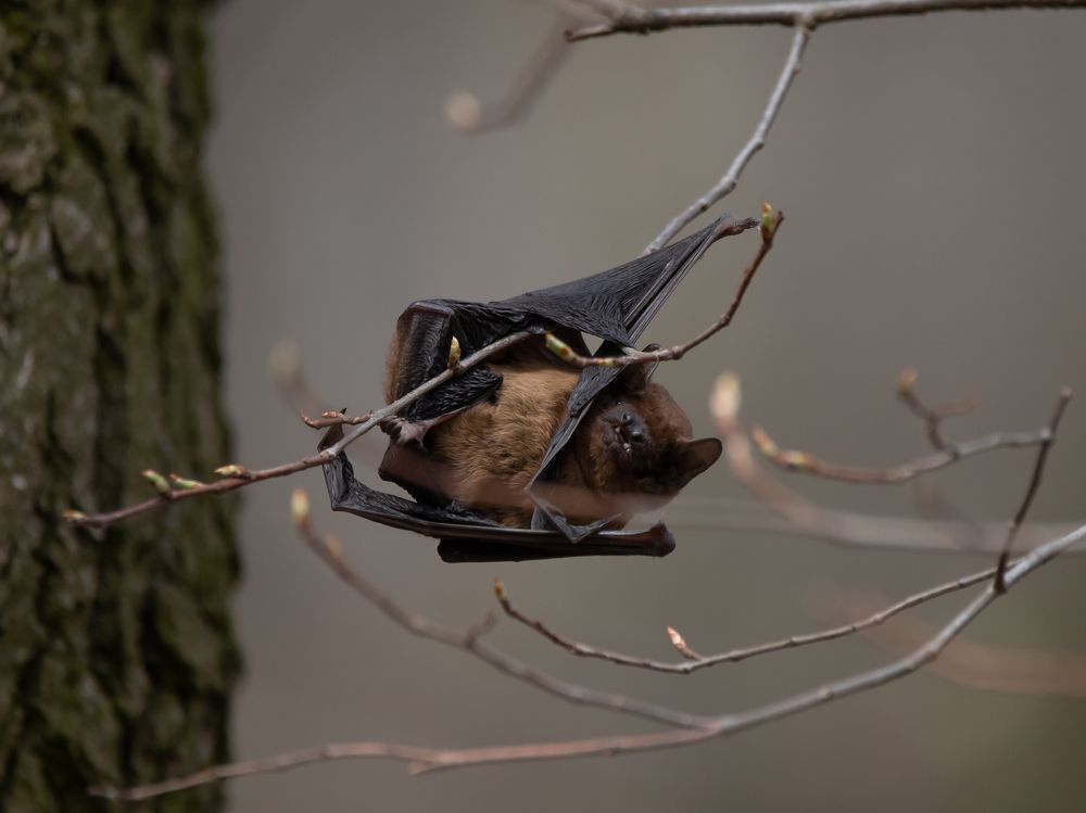 Photograph by Евгения Журавлева