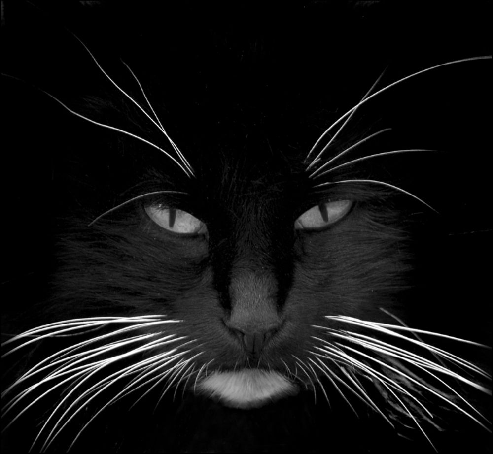 Photograph by Людмила Сиденко