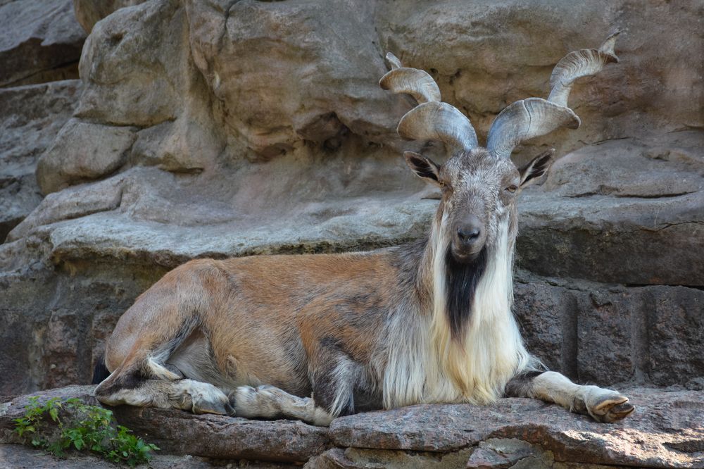 Photograph by Юлия Маврина