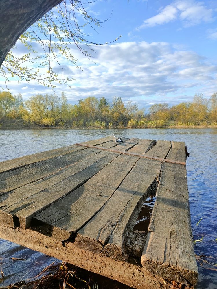 Photograph by Алексей