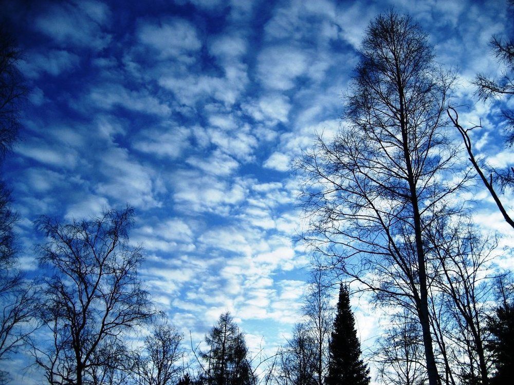 Photograph by Татьяна Котельникова