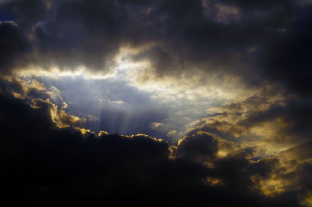 Photograph by Carla Salanova