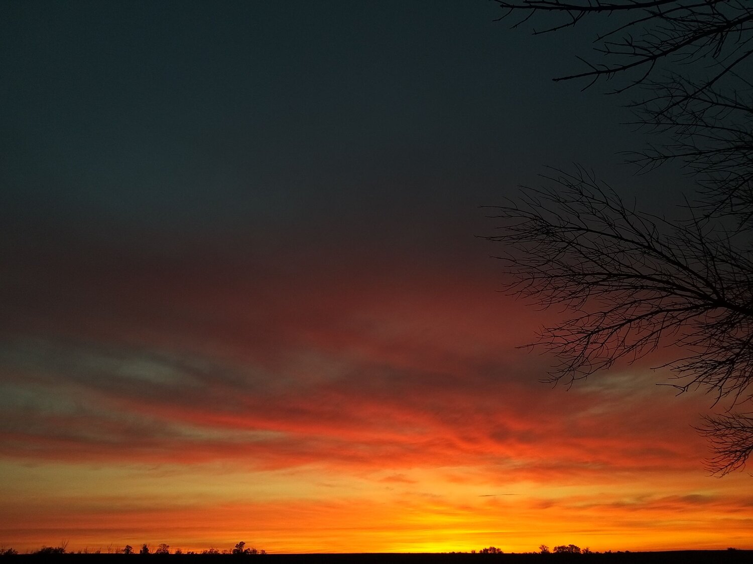 Photo #6151768