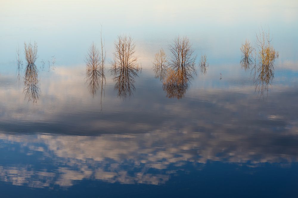 Photograph by Крицак Ольга