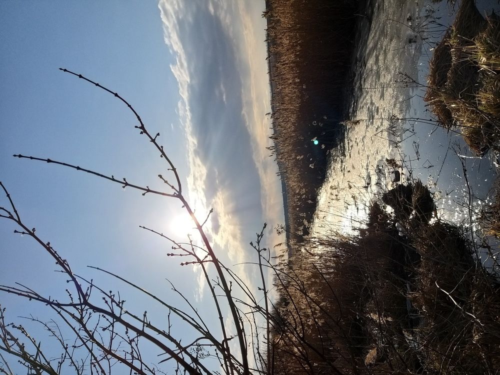 Photo #6151783