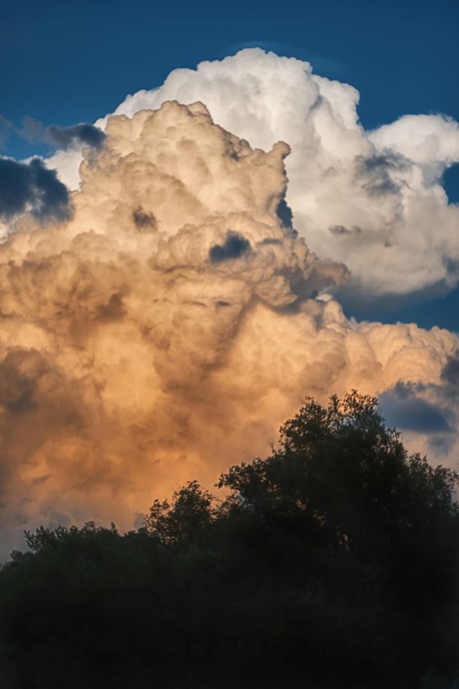 Photograph by Тарасова Олеся