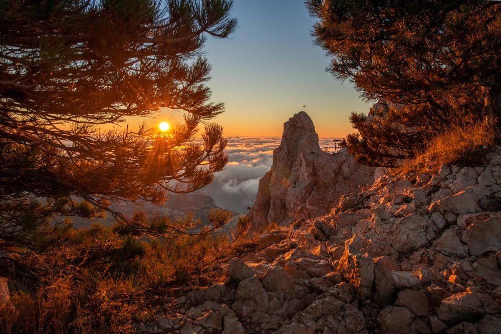 Photograph by Марина Богатырева