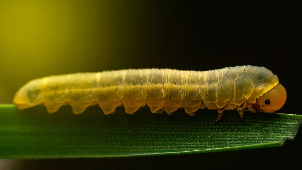 Photograph by Hamlet Maruqyan