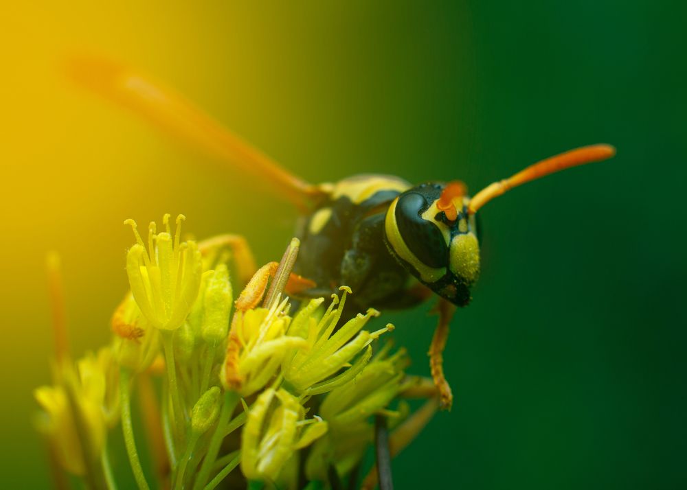 Photograph by Hamlet Maruqyan