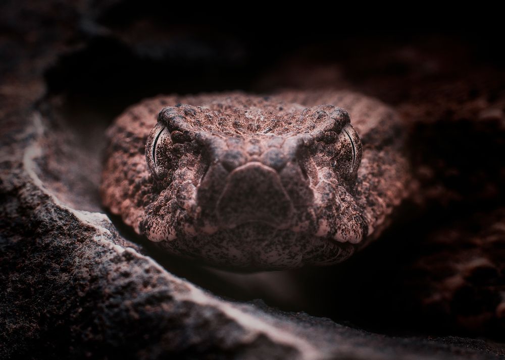 Photograph by Hamlet Maruqyan