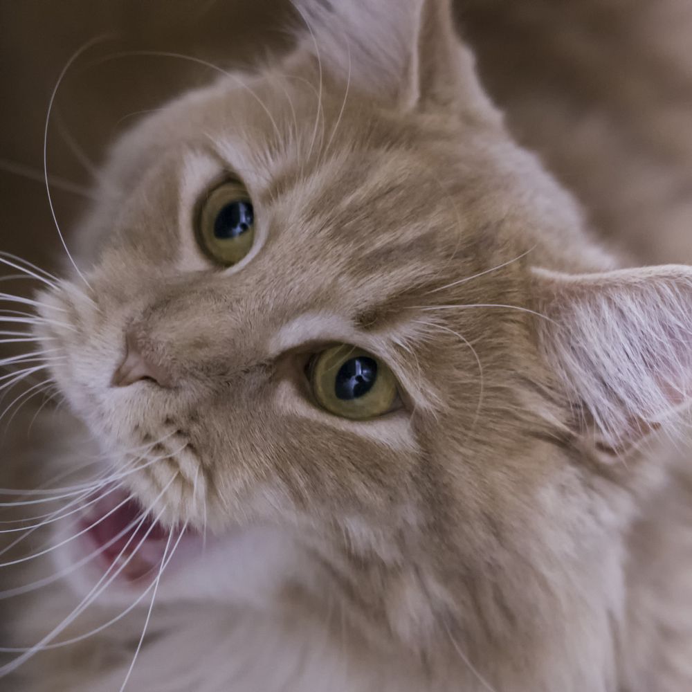 Photograph by Marina Lucenko