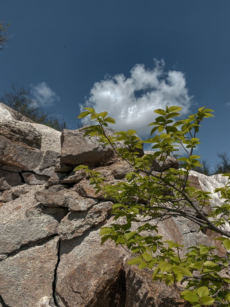 Photograph by Татьяна