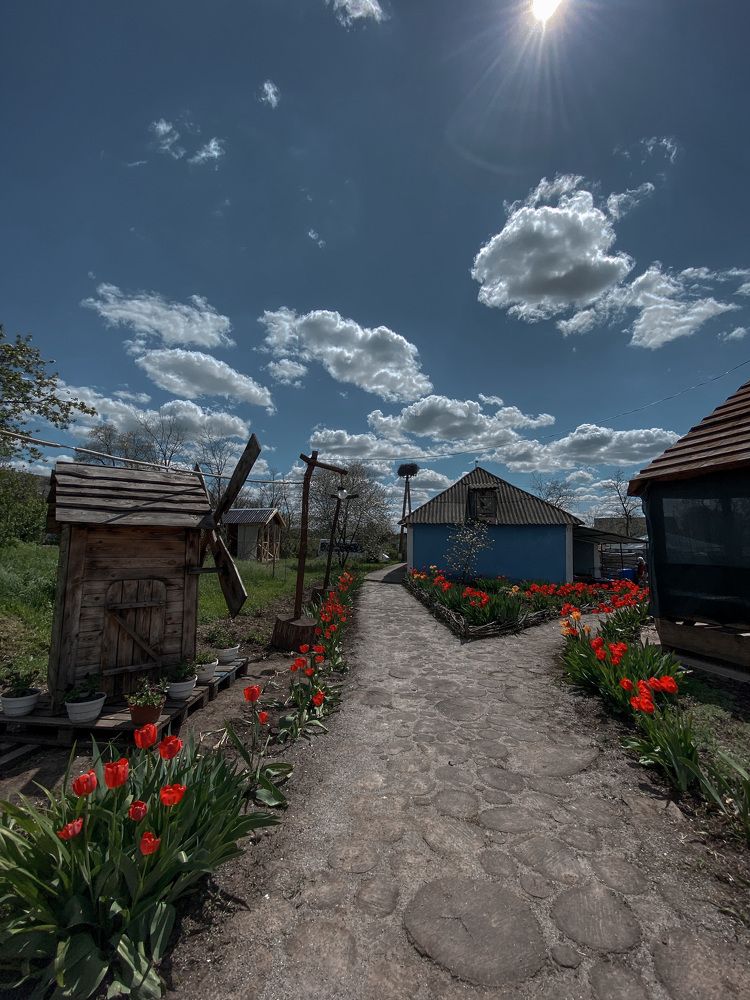 Photograph by Татьяна